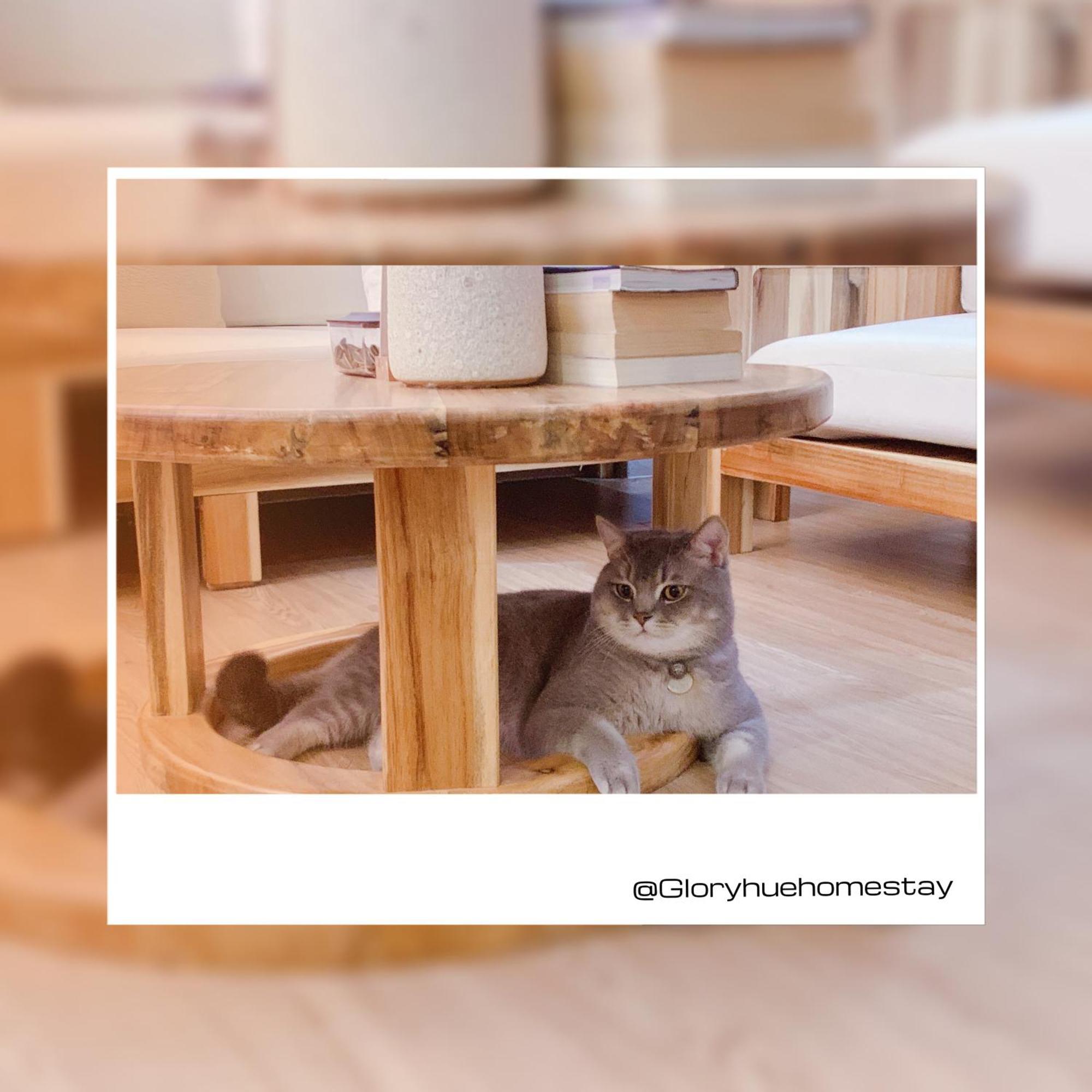 Glory Hue Homestay Εξωτερικό φωτογραφία