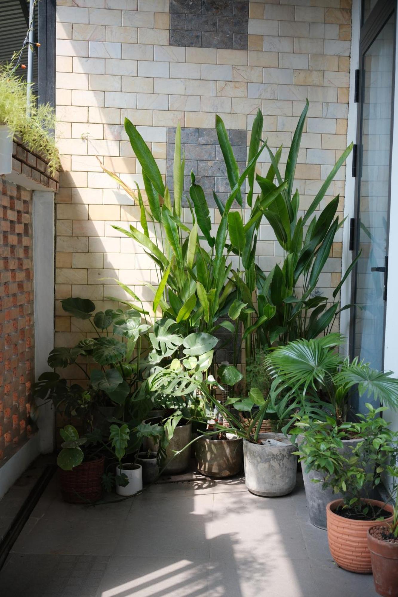 Glory Hue Homestay Εξωτερικό φωτογραφία