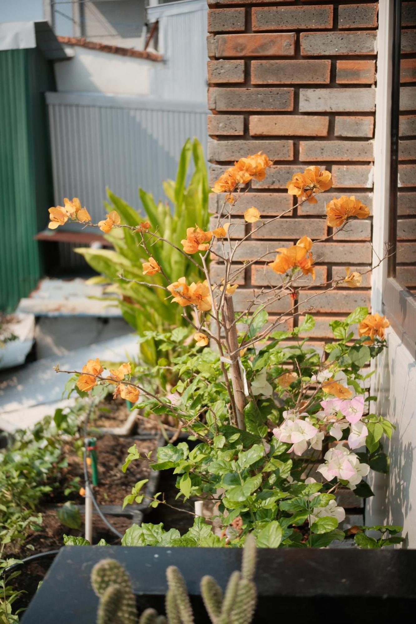 Glory Hue Homestay Εξωτερικό φωτογραφία